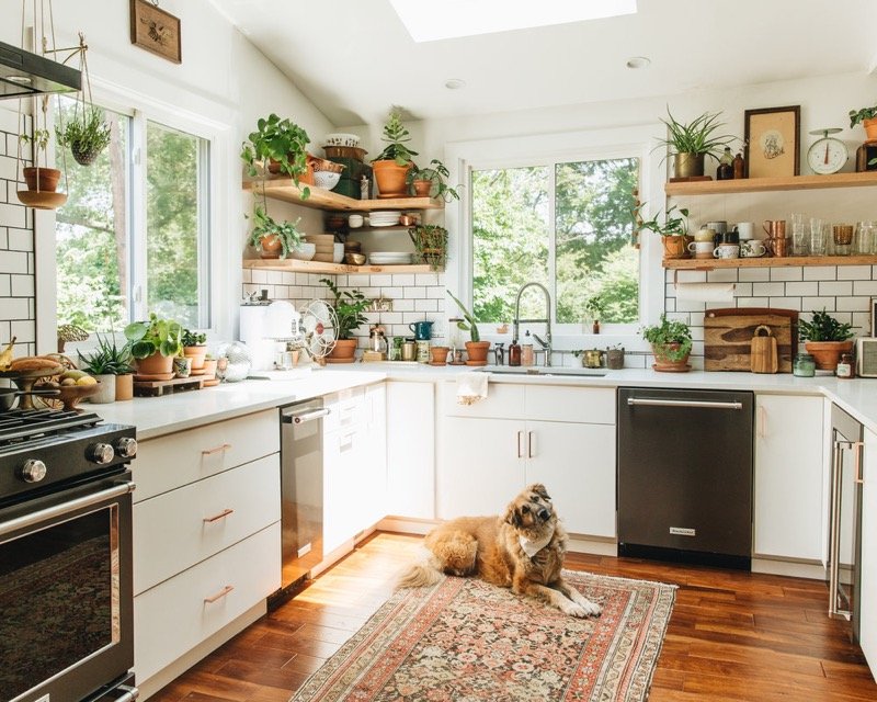 5 Smart Tiny Kitchen Living Storage Upgrades Under $30